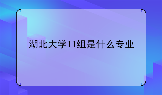 湖北大学11组是什么专业