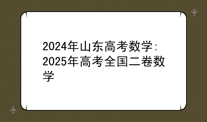 2024年山东高考数学:2025年高考全国二卷数学